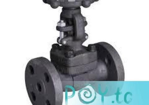 STEAM VALVES SUPPLIERS IN KOLKATA