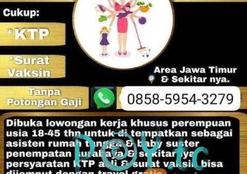 Lowongan kerja asisten rumah tangga dan baby sister - 2/3