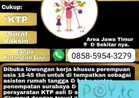 Lowongan kerja asisten rumah tangga dan baby sister - 2/3